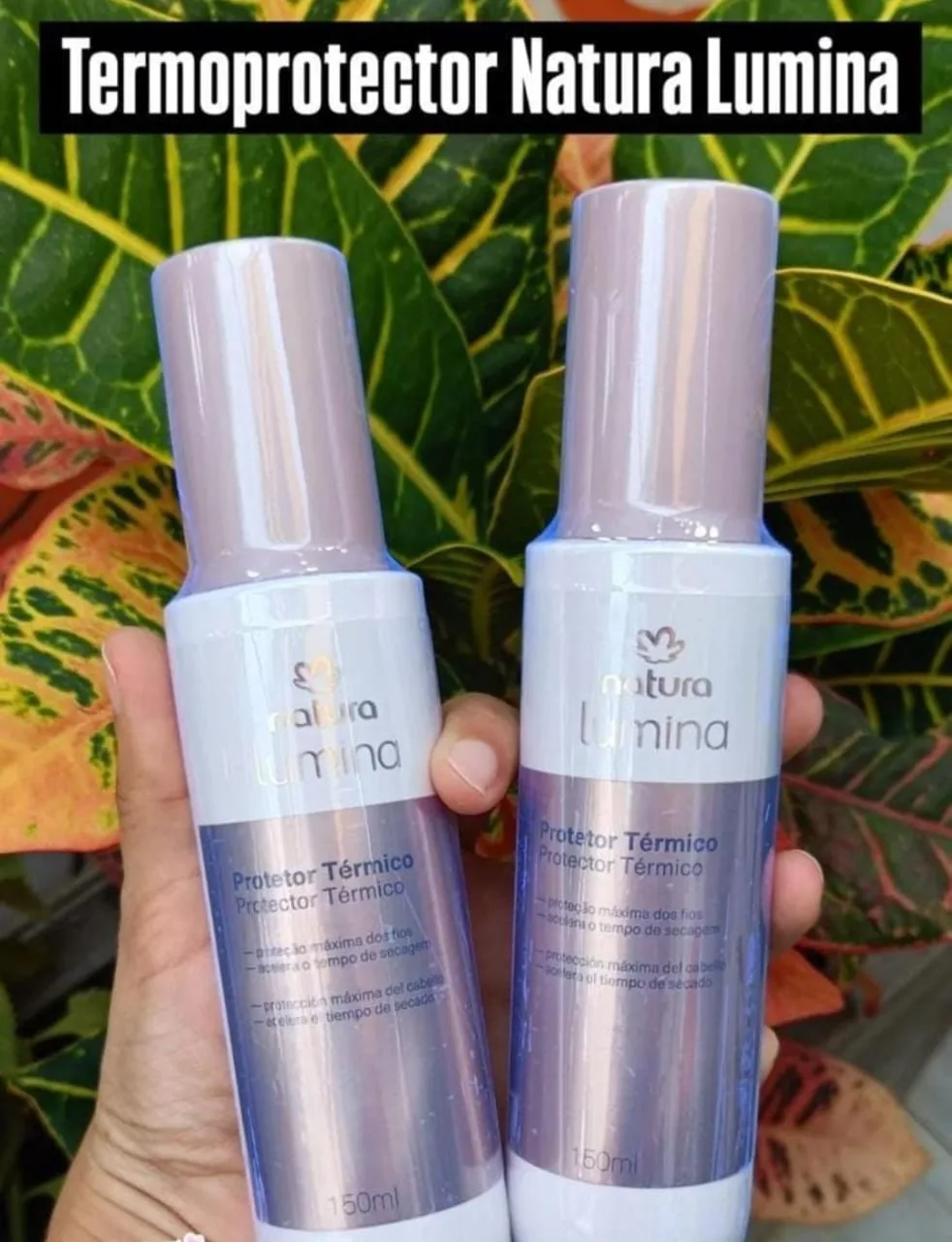 Termo protector lumina