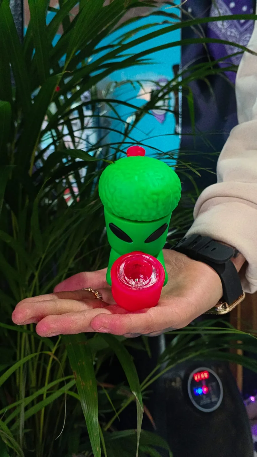 👽 Pipa Alien