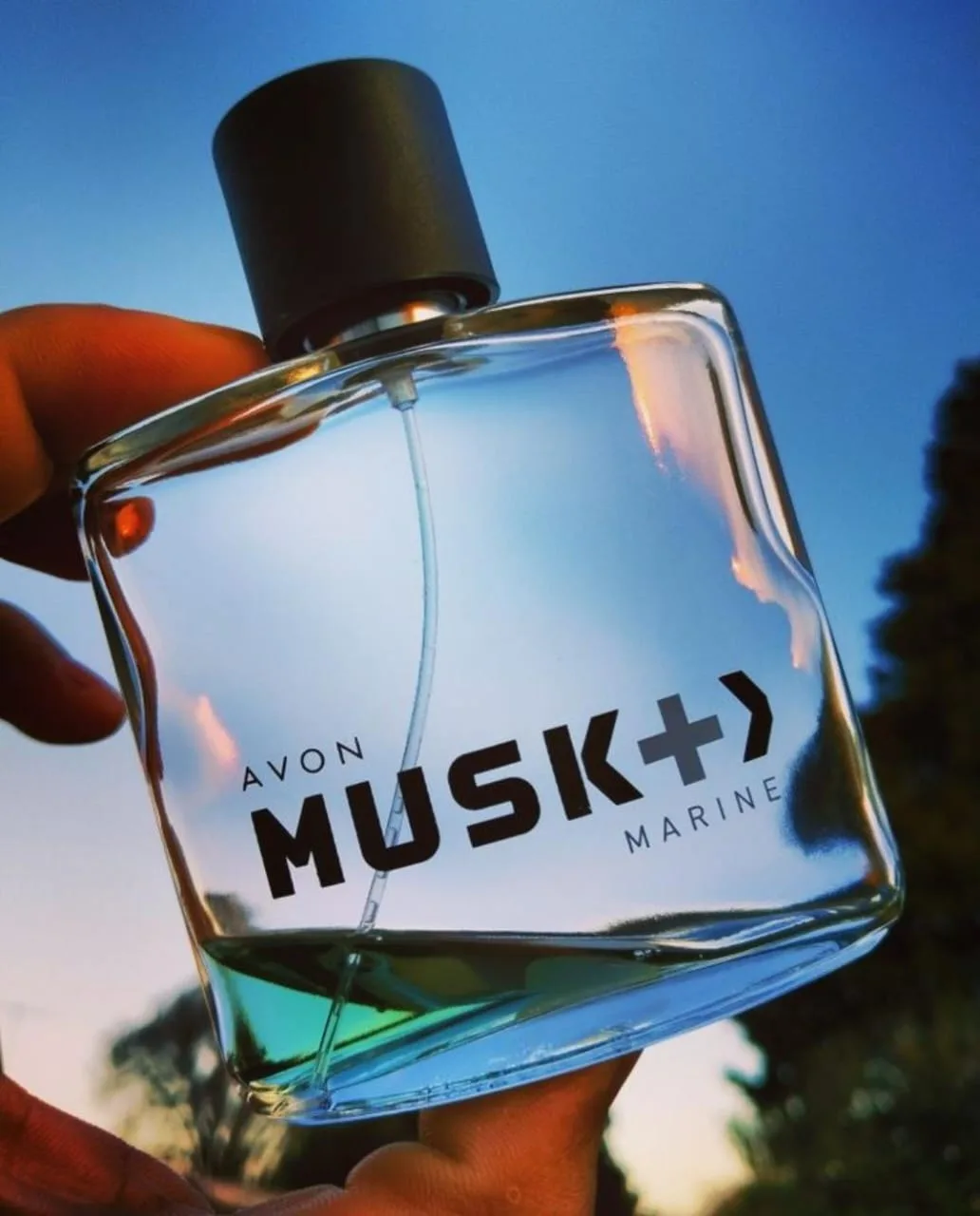 Musk marine