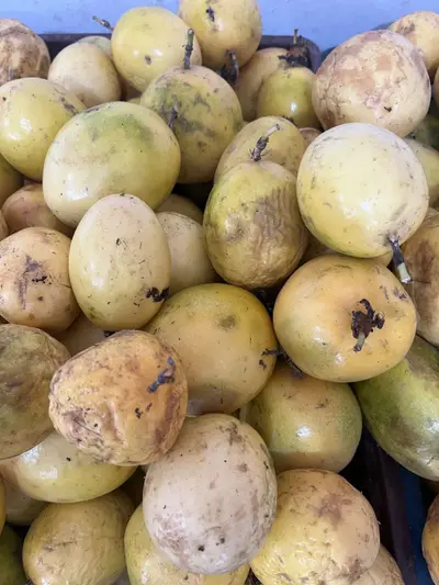 Maracuya x500g