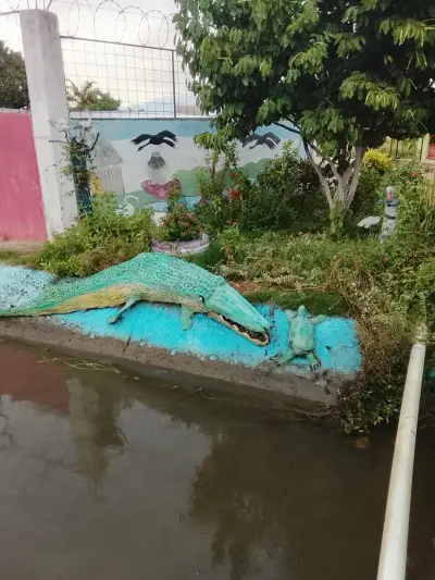 COCODRILO