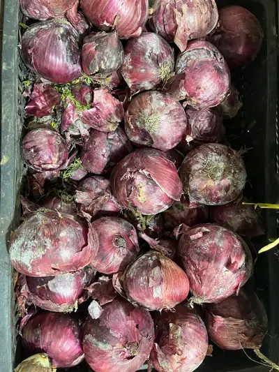 Cebolla cabezona morada x 500g