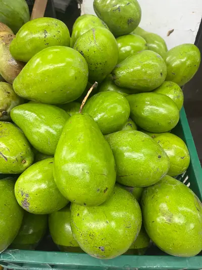 Aguacate, und