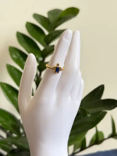 Anillo tortuga