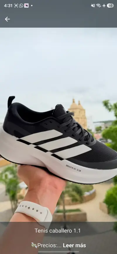 Tenis Caballero