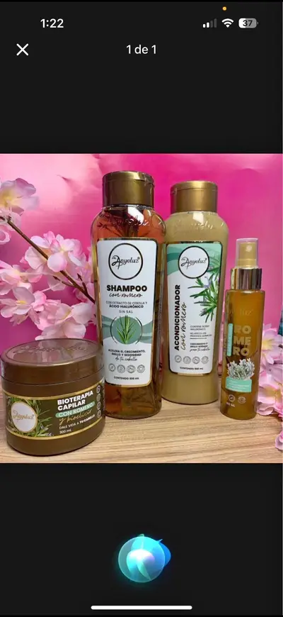 Kit de Romero Anyeluz