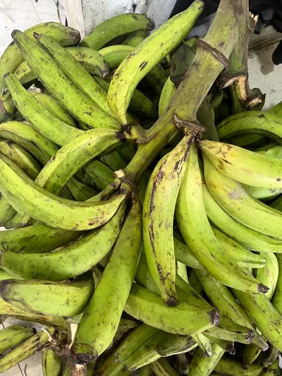 Plátano verde, und