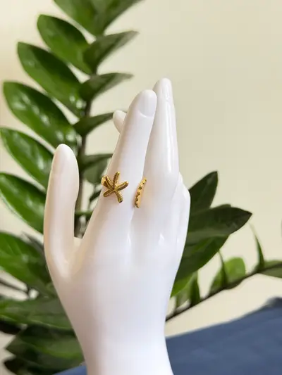Anillo mar