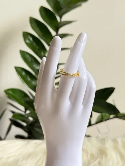 Anillo snake