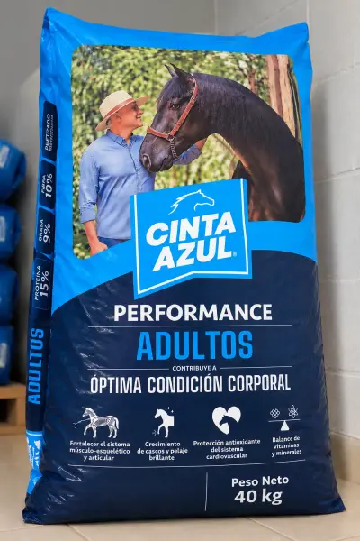 CINTA AZUL ADULTO