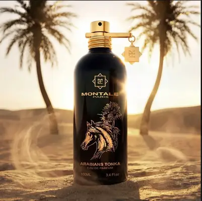 MONTALE ARABIANS TONKA