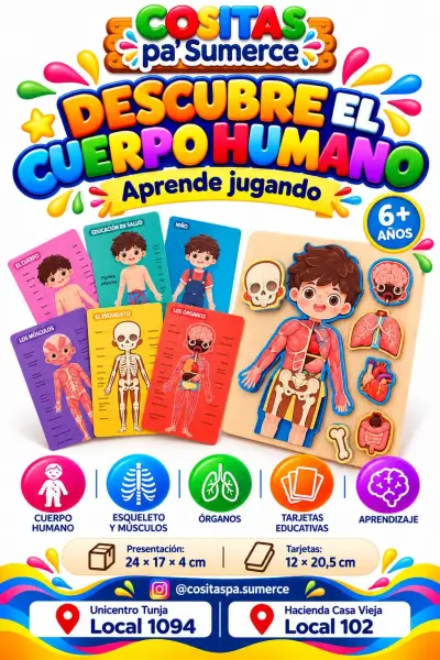Rompecabezas cuerpo humano
