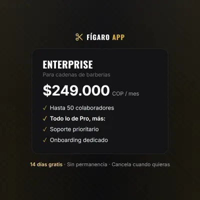 Producto de Fígaro App