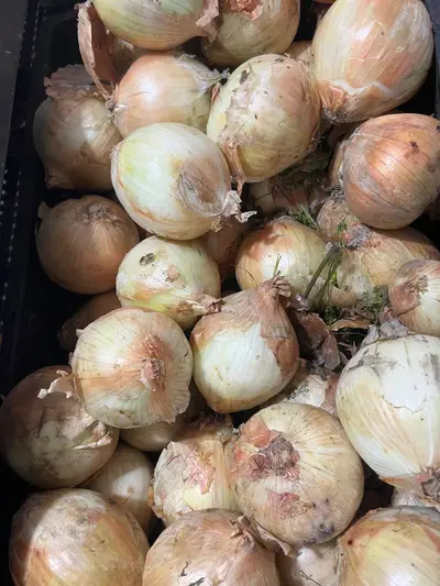 Cebolla cabezona blanca x 500g