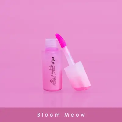 Bloom meow Bloomshell